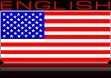 usa flag